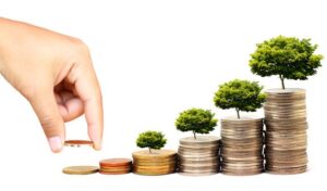 Kelebihan Investasi di Dalam Negeri