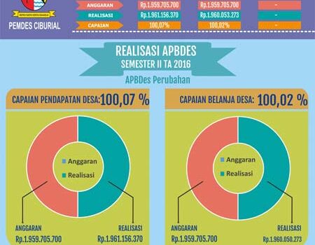 Laporan Realisasi APBDes 2016