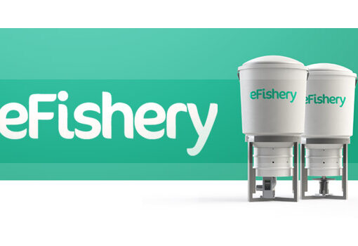 eFishery Resmi Jadi Unicorn Pendanaan Rp3 Triliun