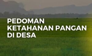 Memperkuat Ketahanan Pangan Antar Desa di Kecamatan Sadananya