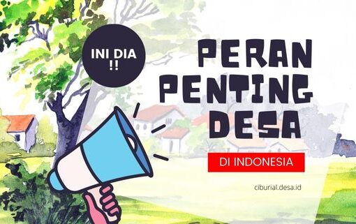 Ini Dia Peran Penting Desa Di Indonesia