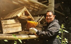Senyap Hutan, Dengung Madu: Kisah dari Ciburial