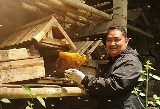 Senyap Hutan, Dengung Madu: Kisah dari Ciburial